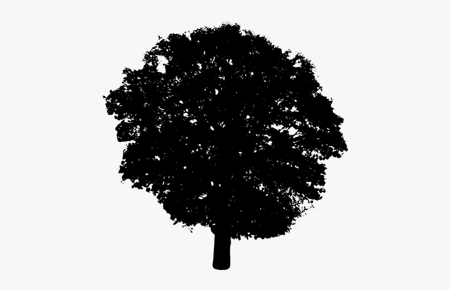 Tree Silhouette 3 - Vector Shrub Png Silhouette, Transparent Clipart
