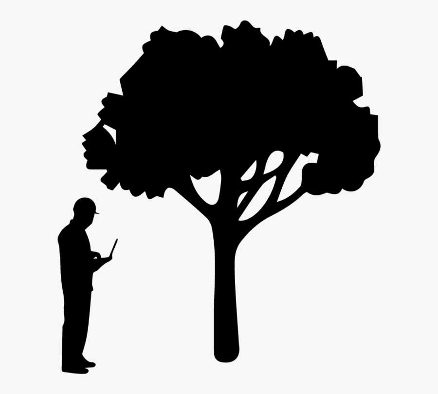 Consultancy - Evolution Of Zip Line, Transparent Clipart