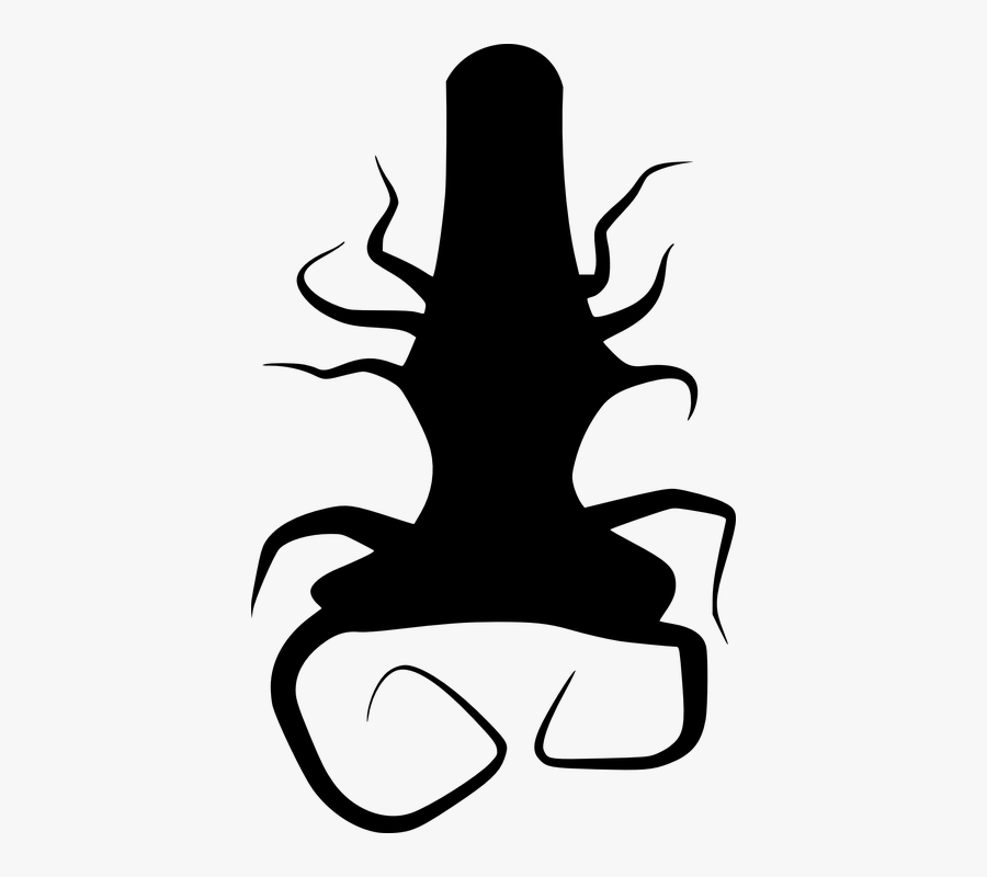 Tree, Roots, Twisted, Black, Silhouette, Plant - Pohon Vektor Png, Transparent Clipart