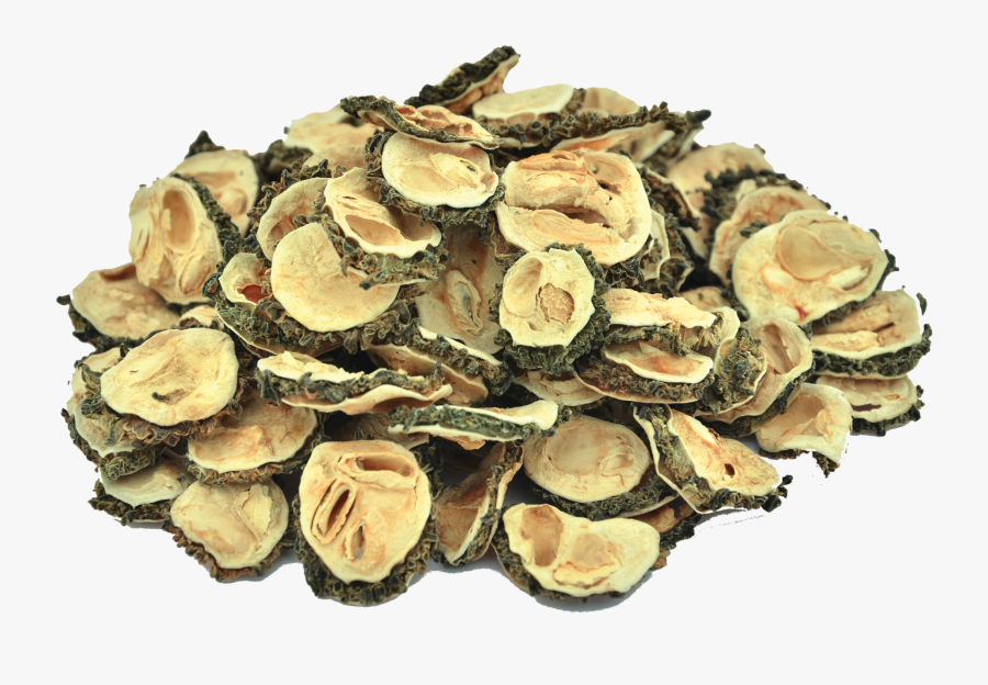Organic Bitter Gourd Fruit - Inonotus, Transparent Clipart