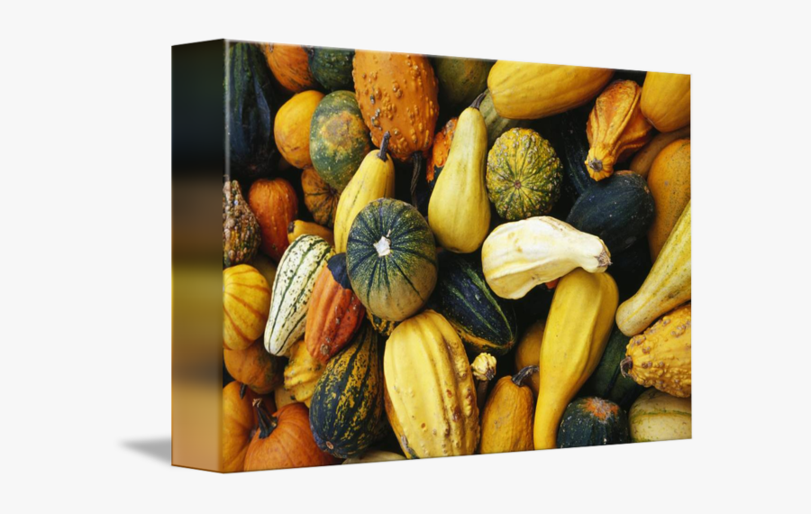 Clip Art Variety By Panoramic Images - Gourd, Transparent Clipart