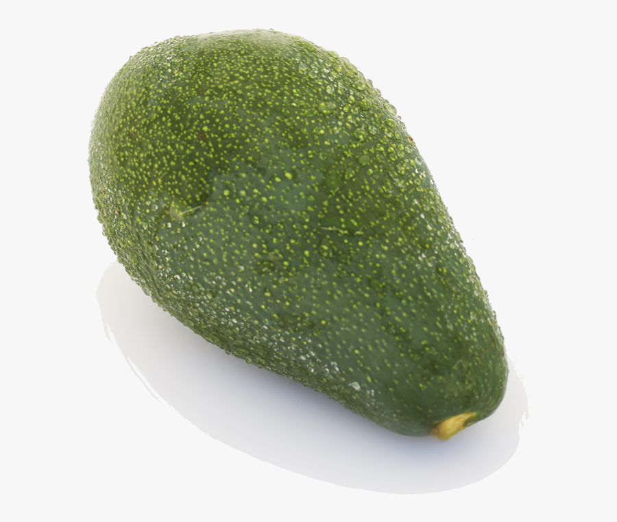 Transparent Avocados Png - Gourd, Transparent Clipart