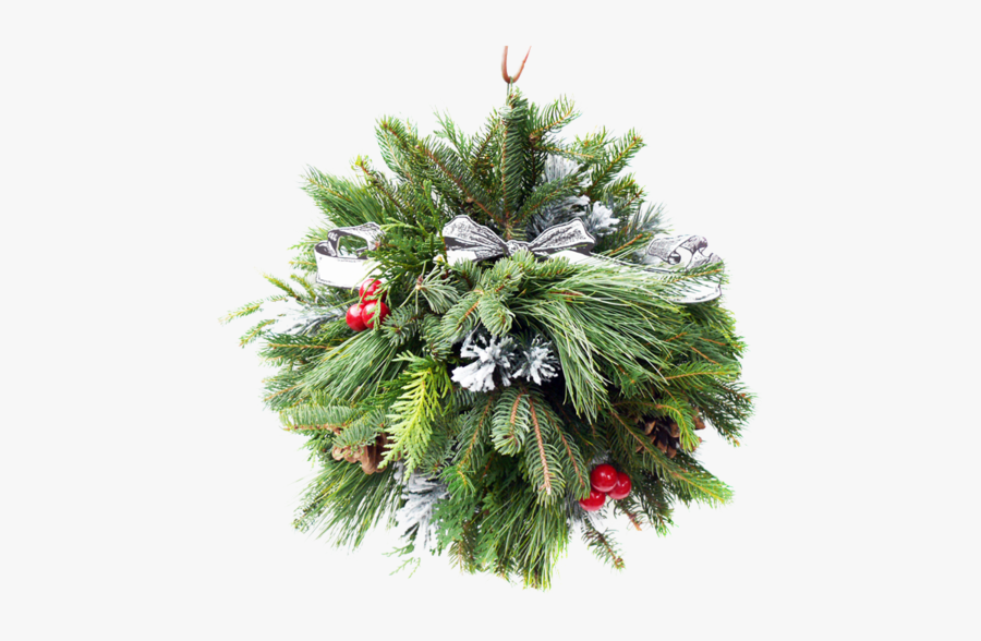 Clip Art If You Get A - Christmas Tree, Transparent Clipart