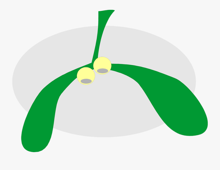 Free Stock Photos, Transparent Clipart