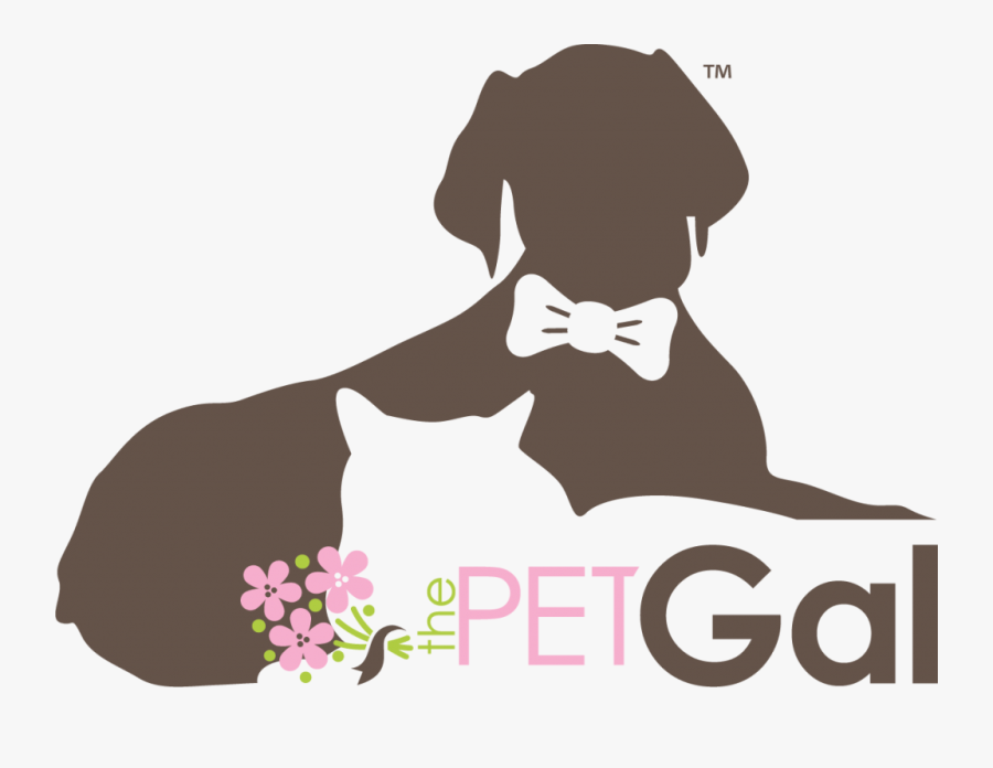 German Shorthaired Pointer, Transparent Clipart