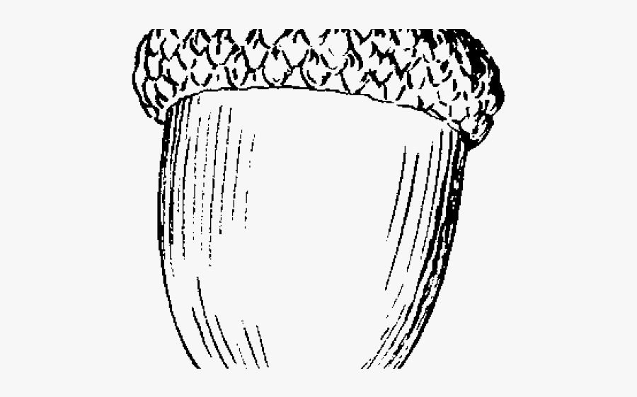 Acorn Black And White, Transparent Clipart