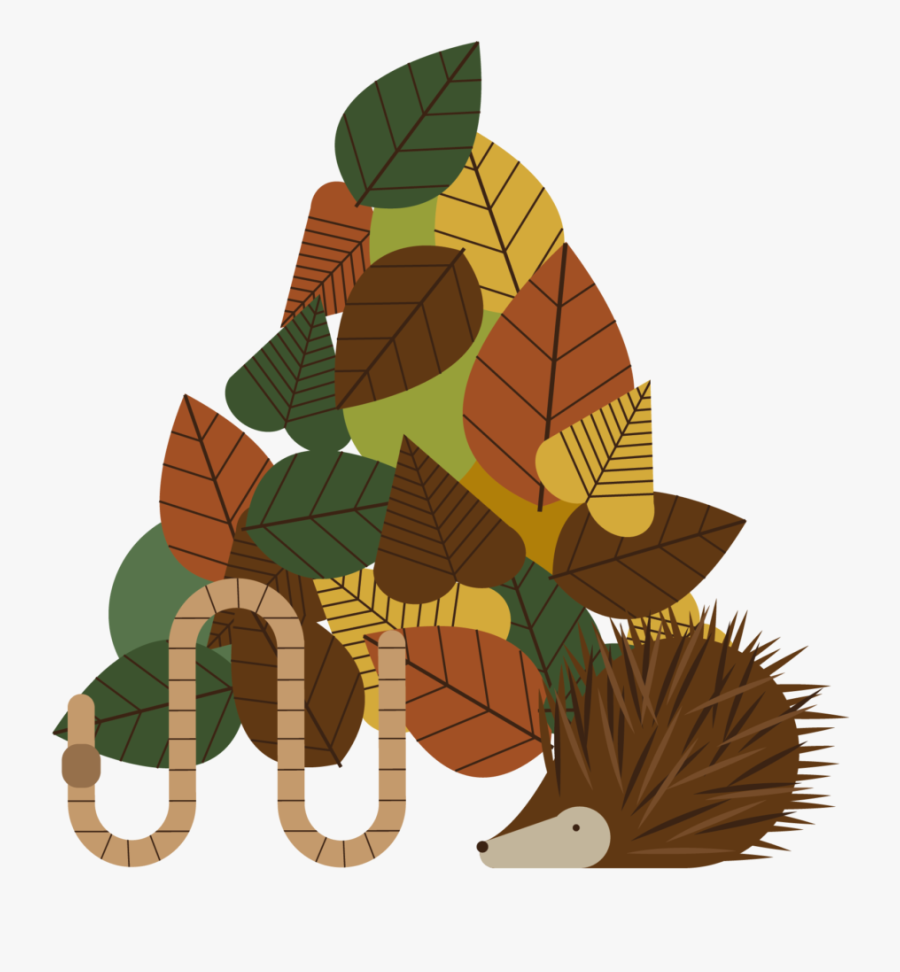 Hedgehogs - Illustration, Transparent Clipart