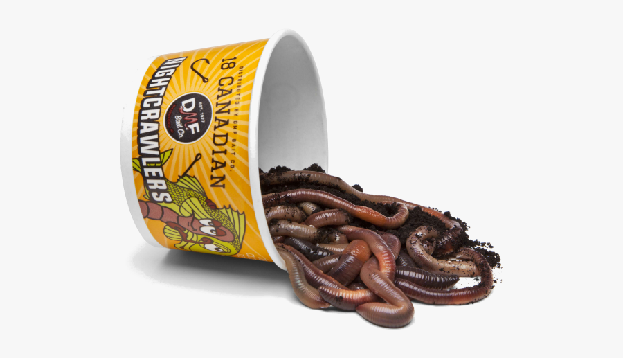 Earthworm, Transparent Clipart