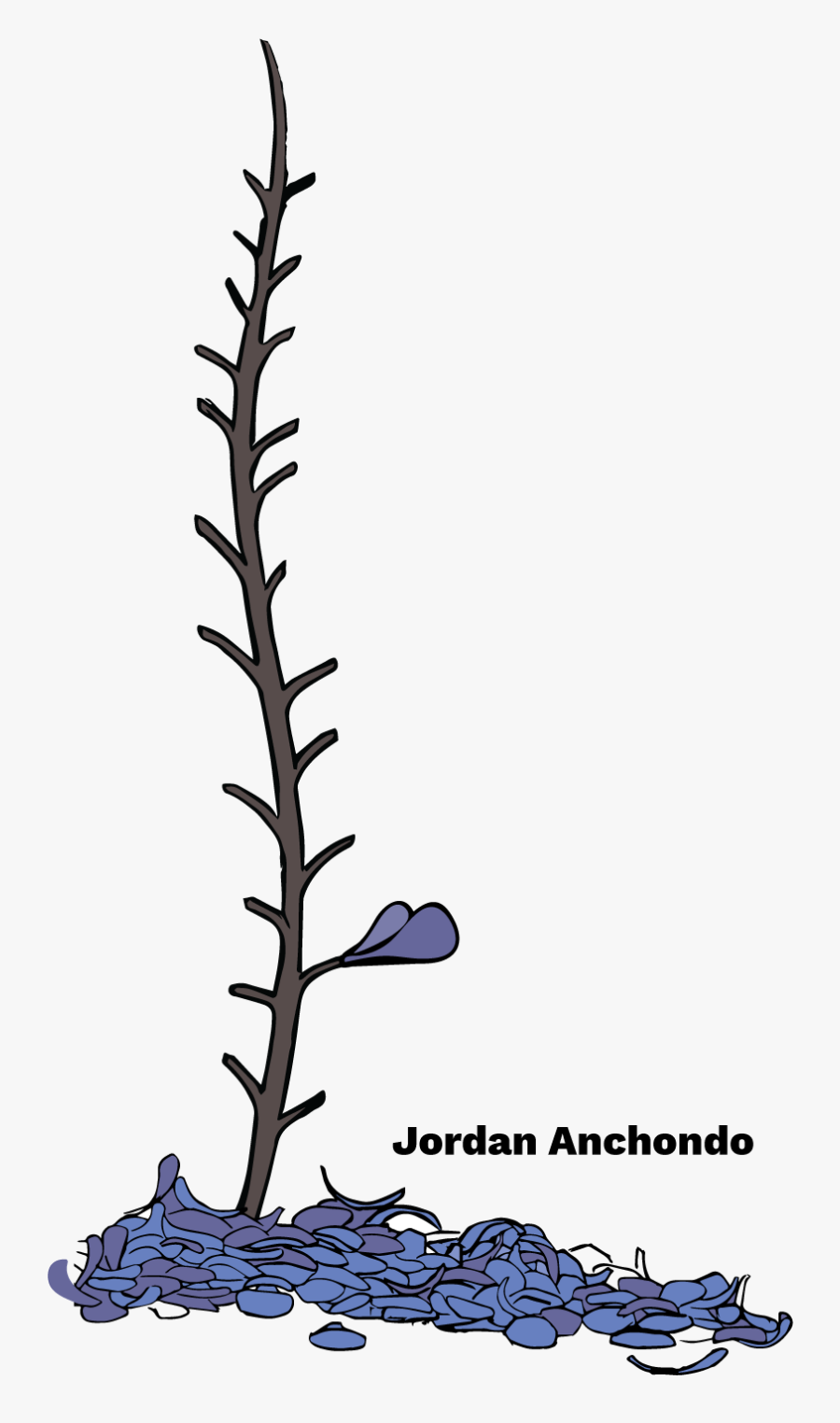 Illustration, Transparent Clipart