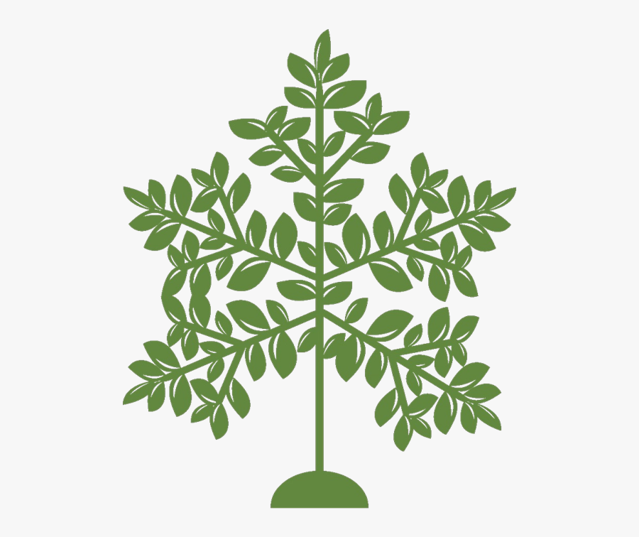Grow Strong Trees, Transparent Clipart