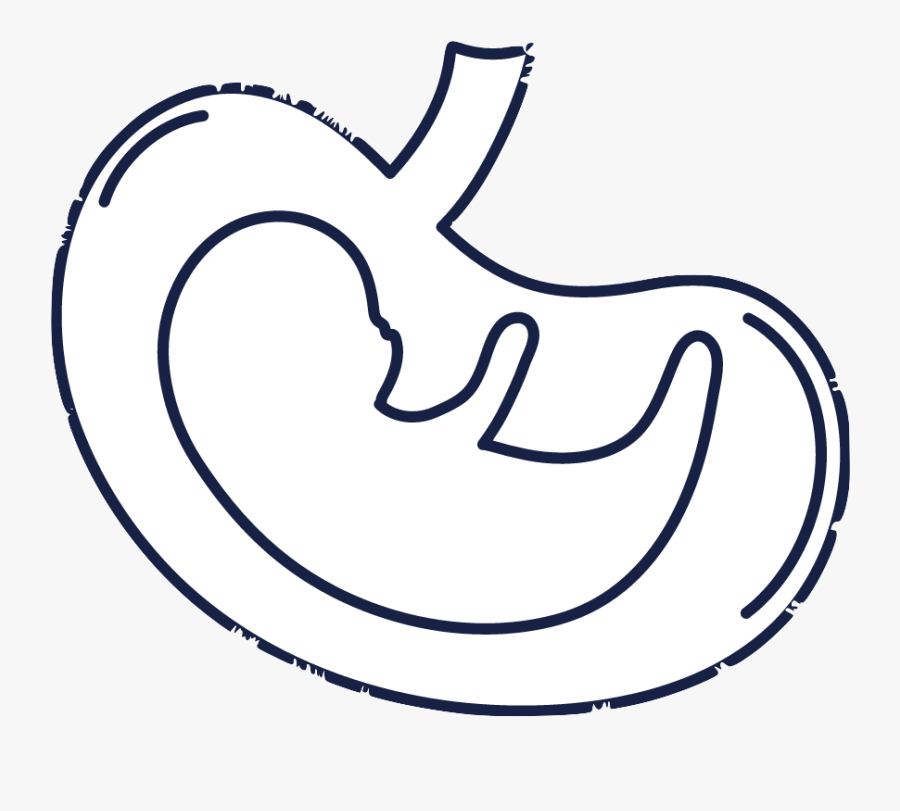 Illustration, Transparent Clipart