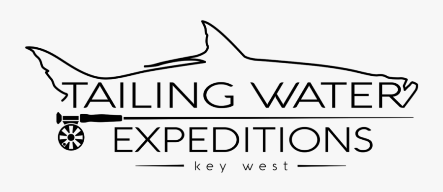 An Image Of The Logo Used At Tailing Water Expeditions, Transparent Clipart