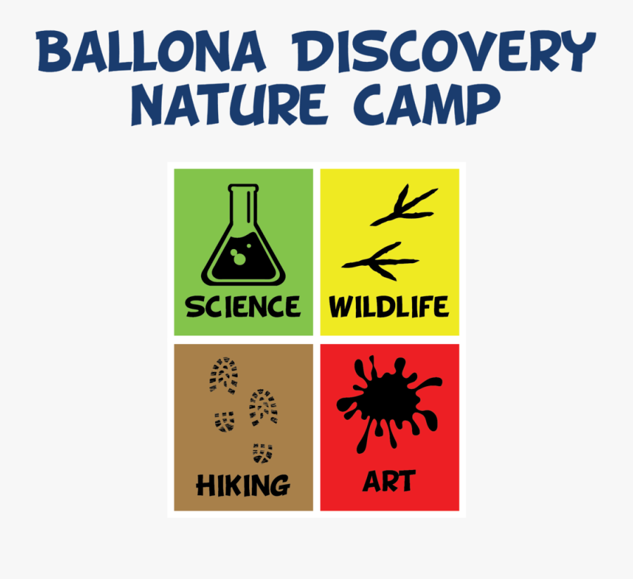 Bdnc Logo Full Color White Background, Transparent Clipart