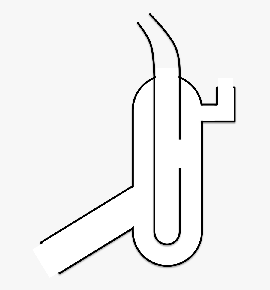 Glassware-diagram - Graphic Design, Transparent Clipart