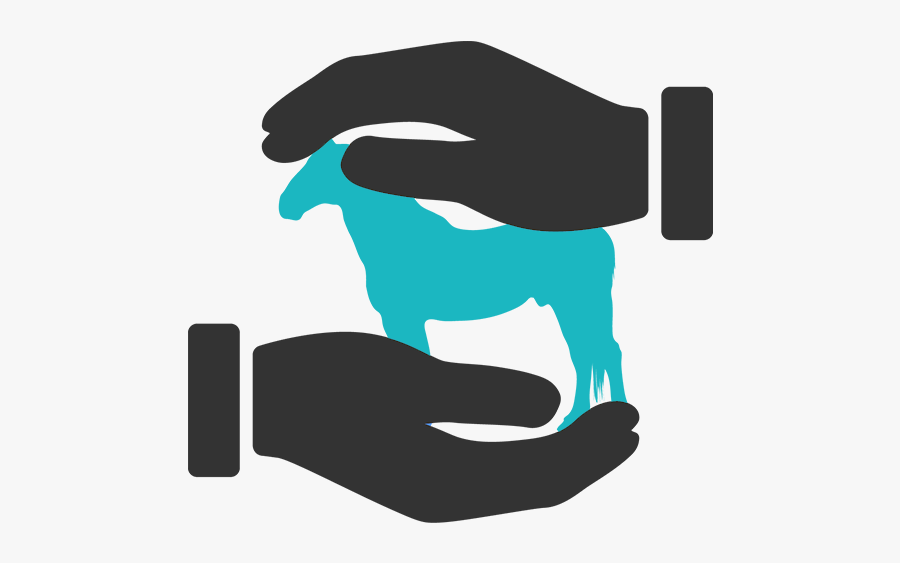 Icono De Servicios Adicionales, Transparent Clipart