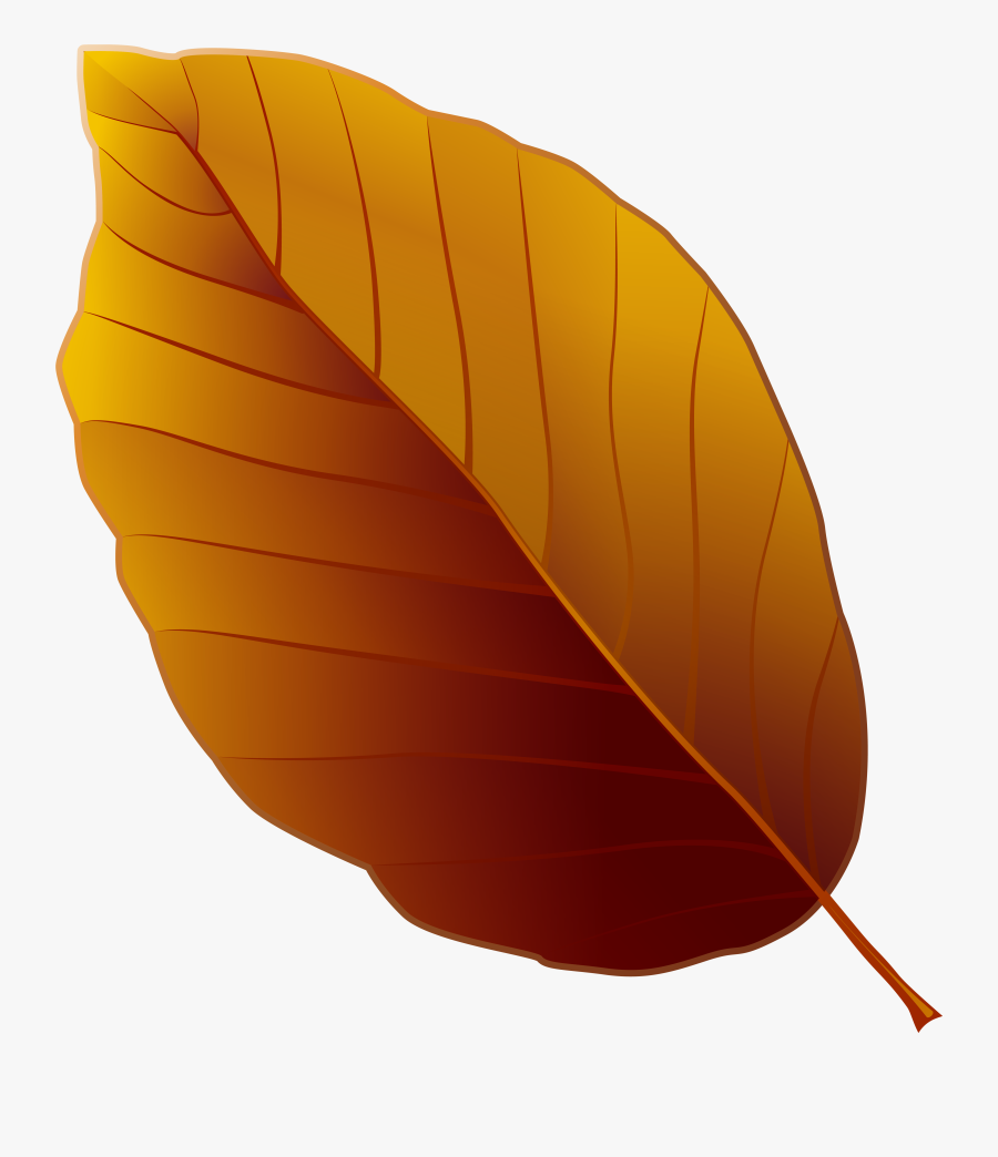 Brown Cliparts Png Leaves - Brown Leaf Clipart Png, Transparent Clipart