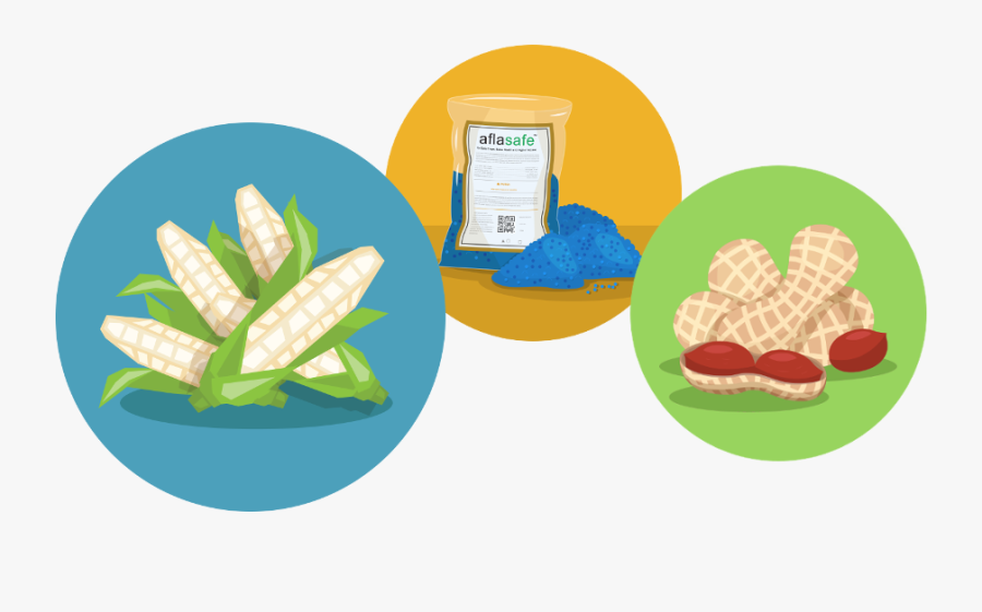 Aflasafe How Does It - Illustration, Transparent Clipart