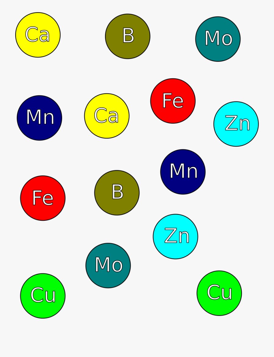 Circle, Transparent Clipart