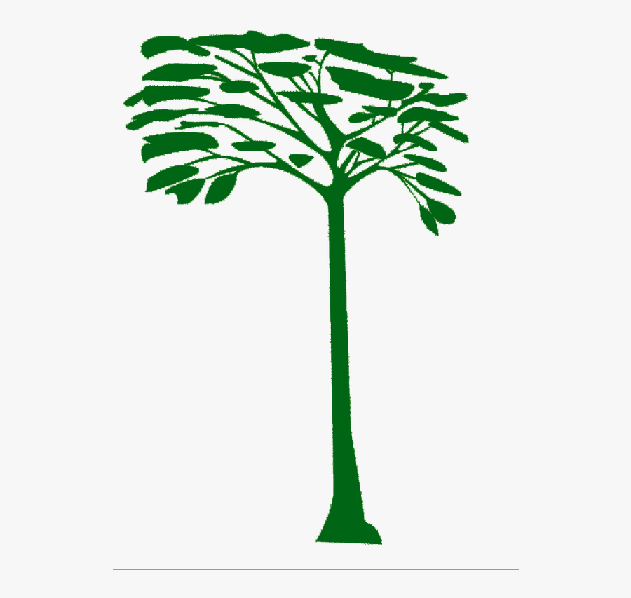 Silhouette, Transparent Clipart