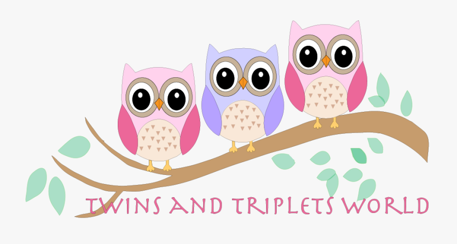 Best Owl Resize - Mariposa Bakery, Transparent Clipart