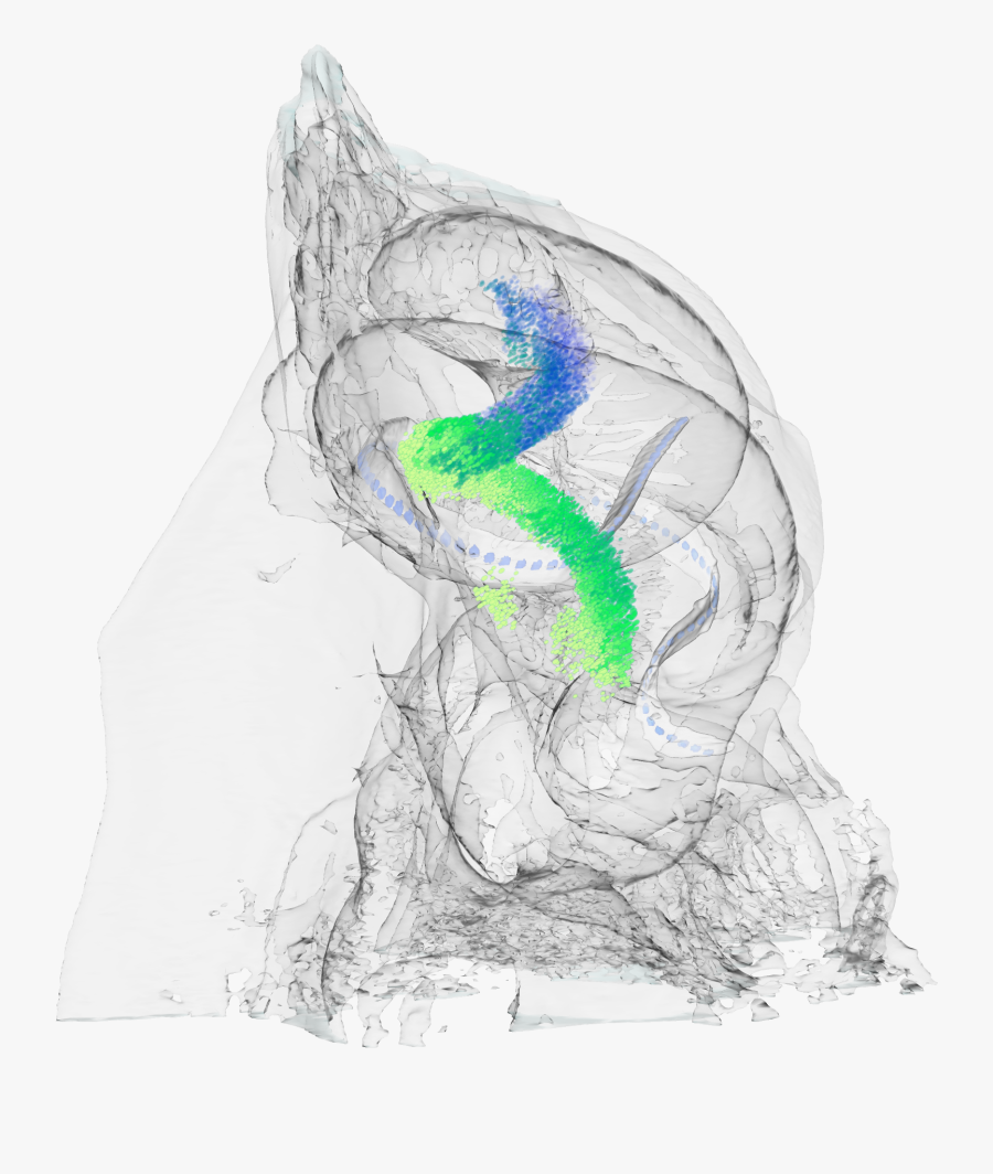 Sketch, Transparent Clipart