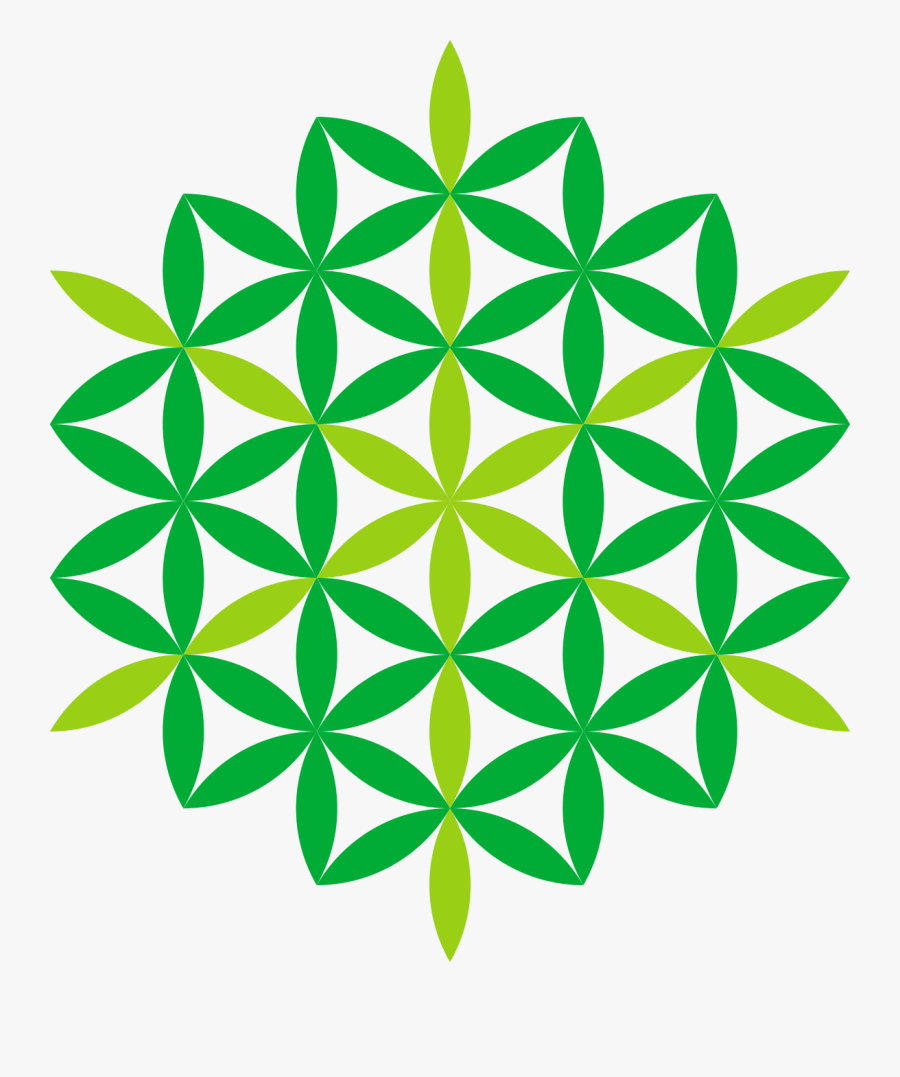 Flower Of Life Color, Transparent Clipart