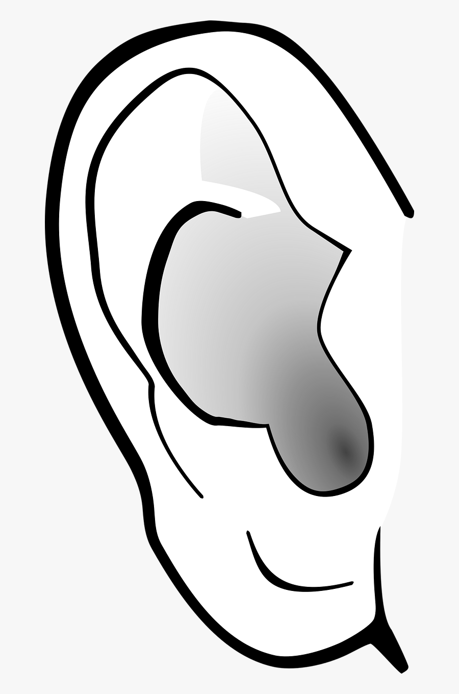 Clip Art, Transparent Clipart