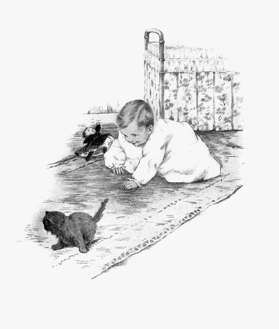 Sketch, Transparent Clipart