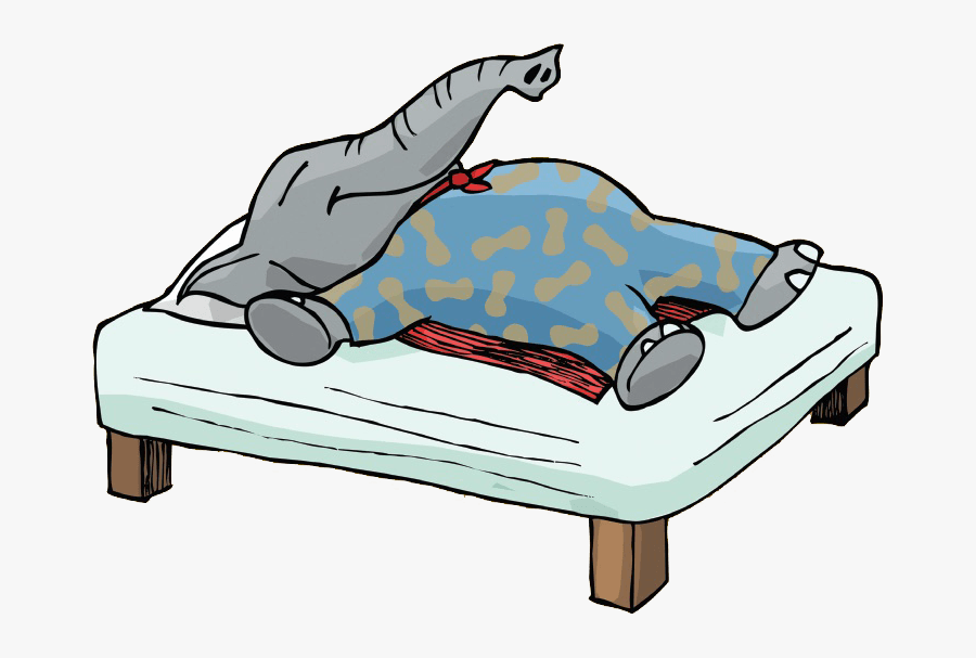 Help Your Child Easily Conquer New Transitions With, Transparent Clipart