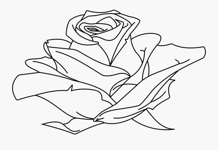 Line Art Drawing Clip Art - Line Art Rose In Line Drawing, Transparent Clipart