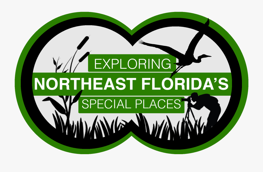 Graphic Design, Transparent Clipart