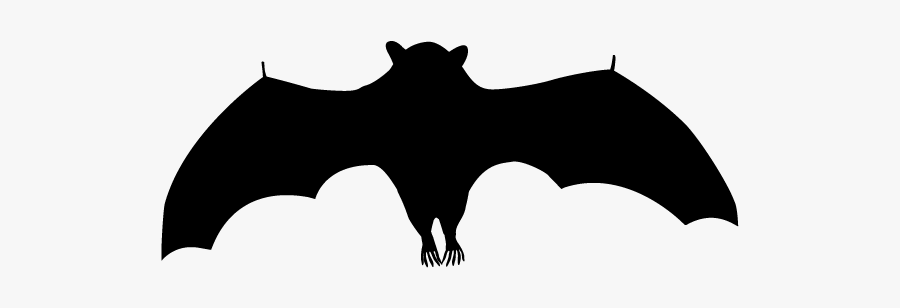 Little Brown Myotis, Transparent Clipart