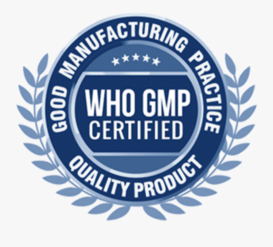 Future Plan And Projects - Circle, Transparent Clipart