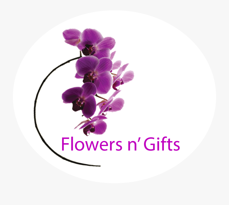 Orchids, Transparent Clipart