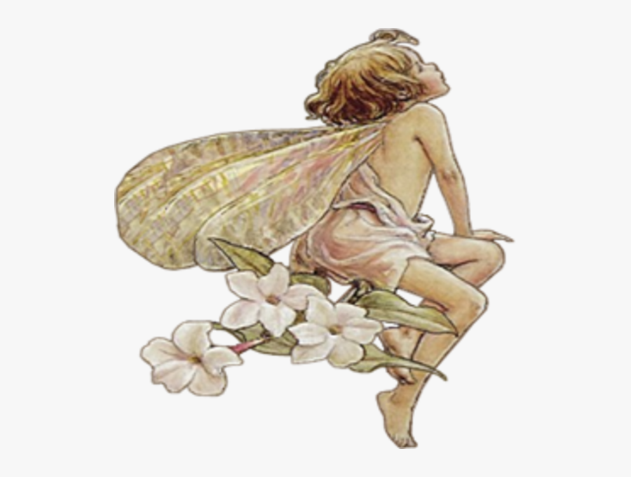 Flower Fairies Public Domain, Transparent Clipart