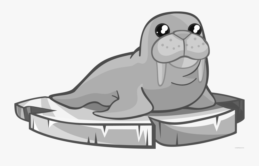 Walrus Clipart, Transparent Clipart