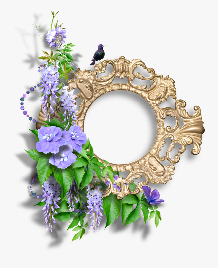 Bellflower, Transparent Clipart