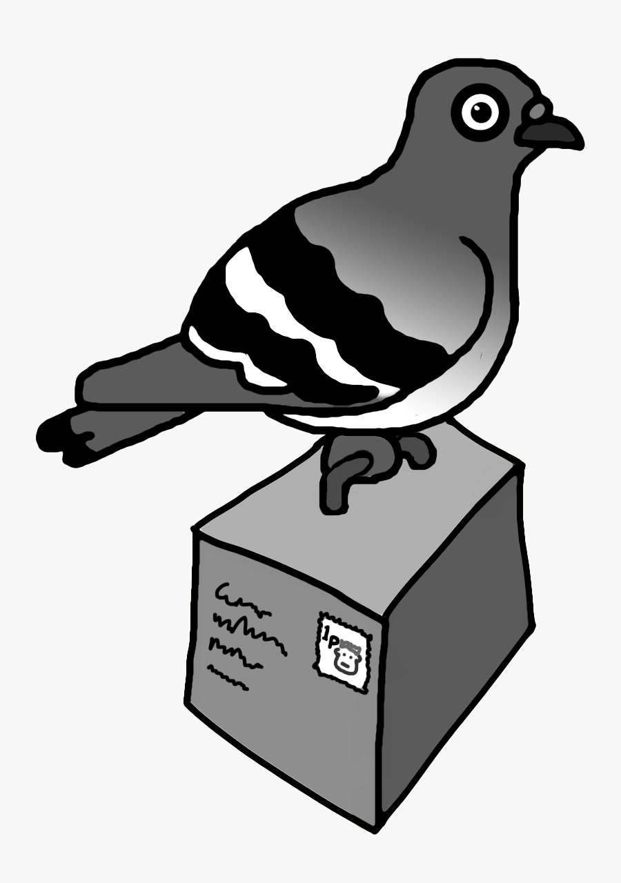 The Pigeon Post Project Is Developing A System Of Technologies - Pigeon Package, Transparent Clipart
