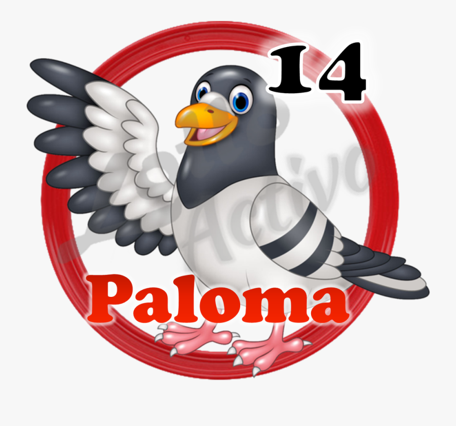 Transparent Paloma Png - Pigeon Clipart, Transparent Clipart
