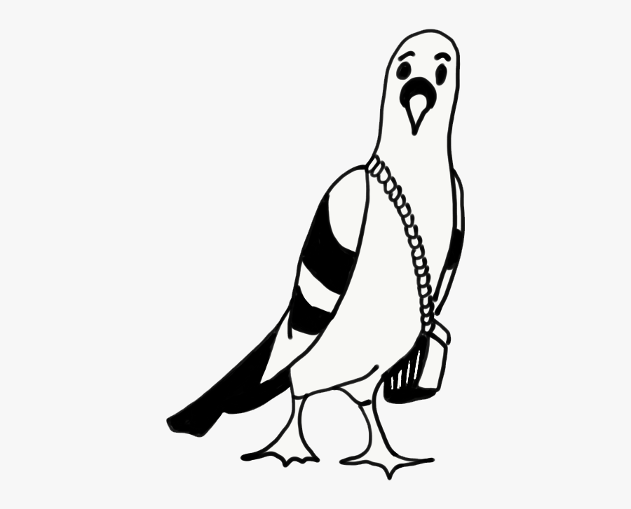 Parrot, Transparent Clipart