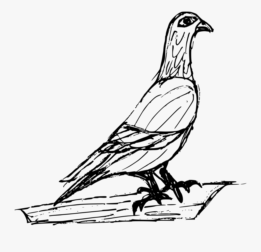 Drawing, Transparent Clipart