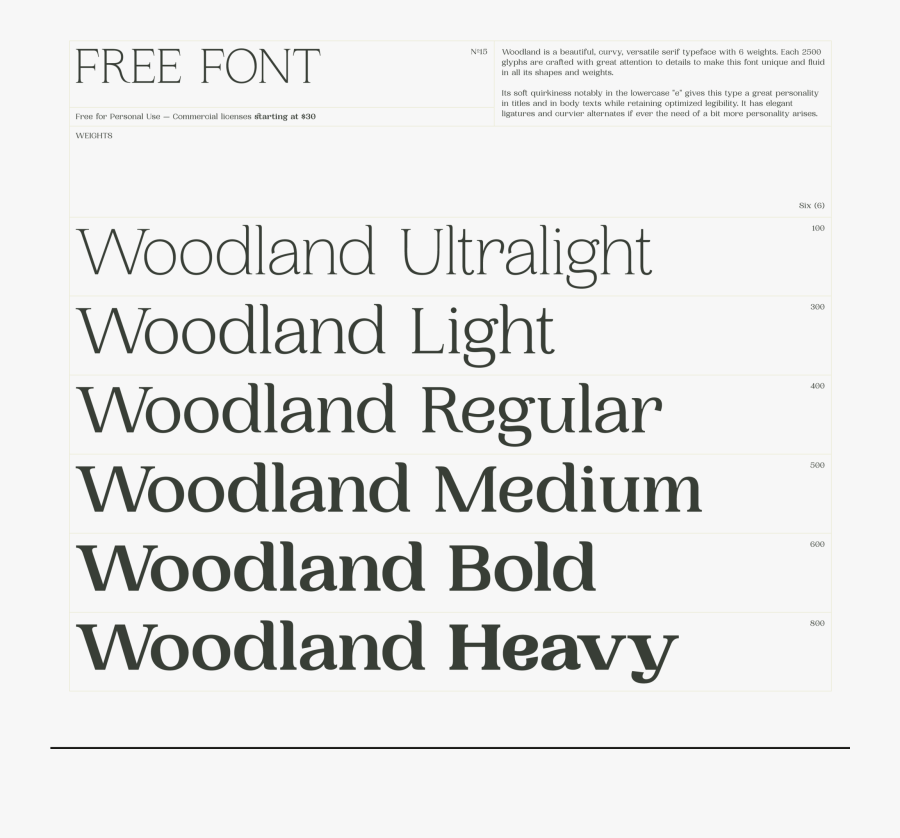 Document, Transparent Clipart