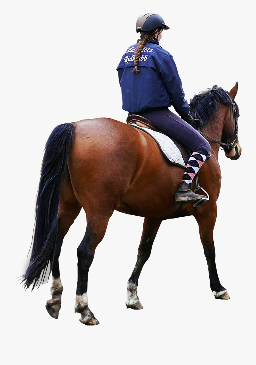 Man Riding Horse Png - Riding Horse Png, Transparent Clipart