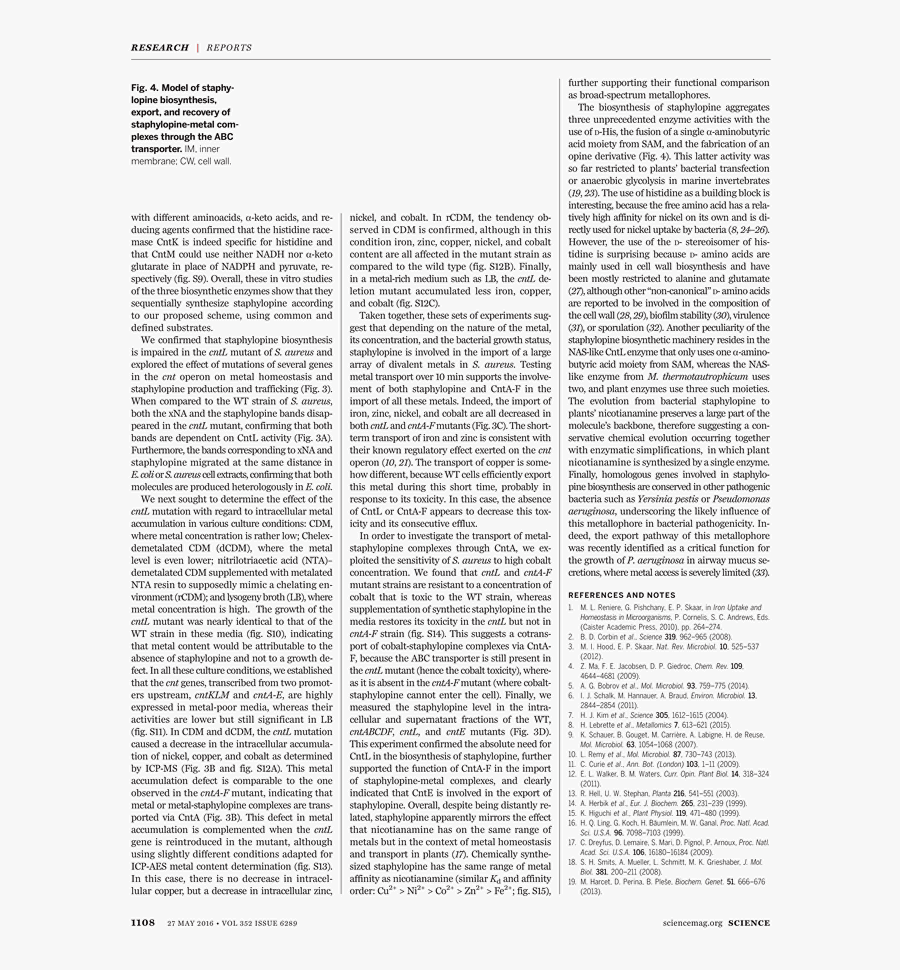 Document, Transparent Clipart