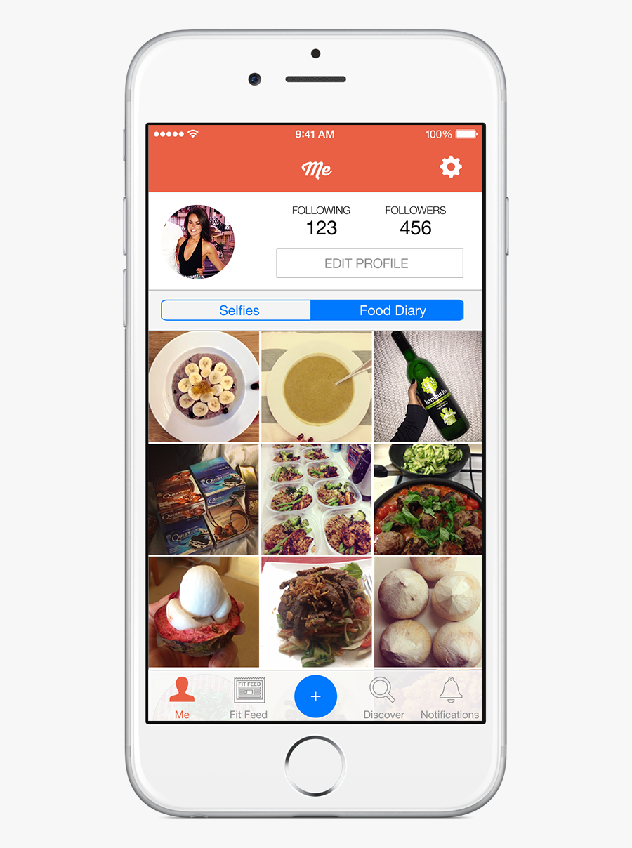 Clip Art Diary Healthy - Christmas Pudding, Transparent Clipart