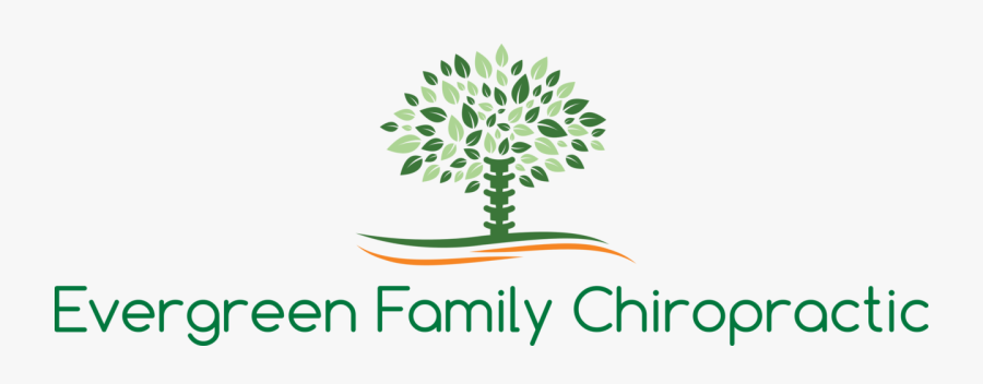 Mauldin Chiropractic Care - Graphic Design, Transparent Clipart