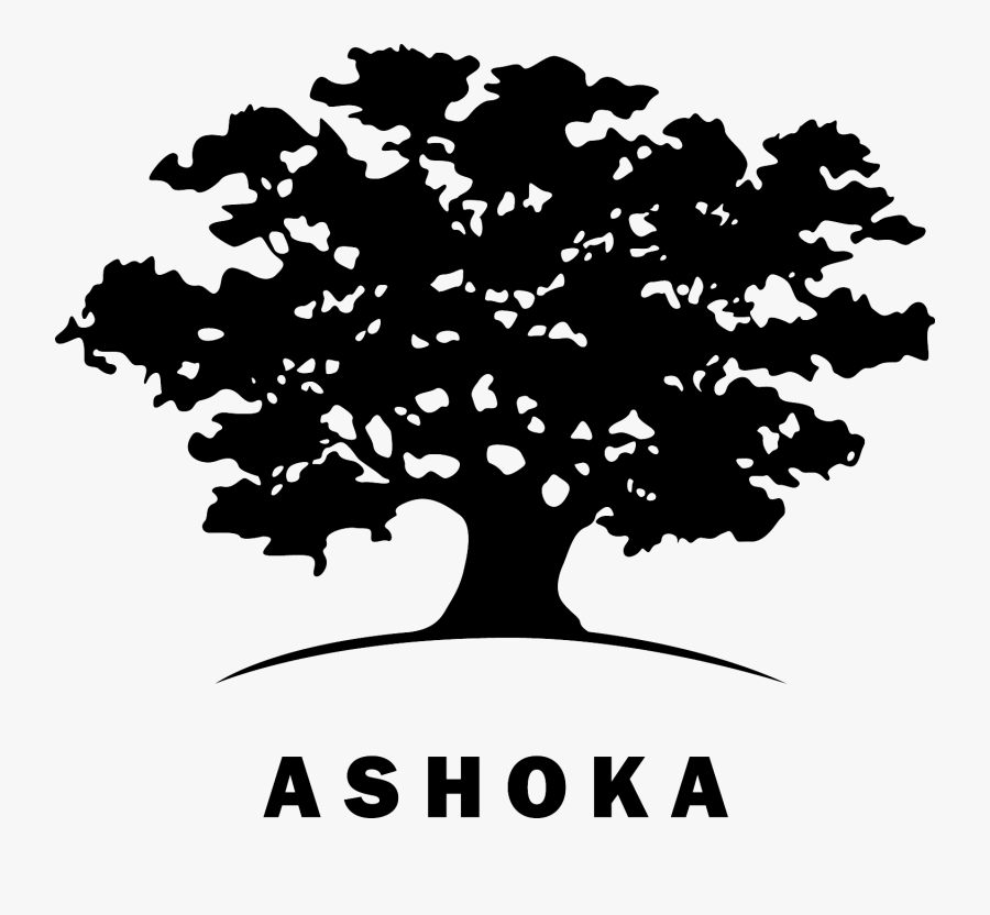 Ashoka Organization, Transparent Clipart