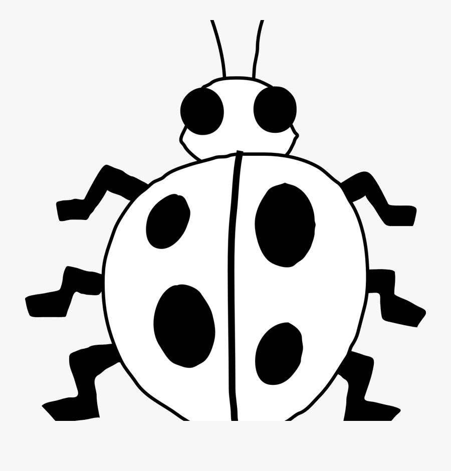Black And White Panda - Bug Black And White, Transparent Clipart