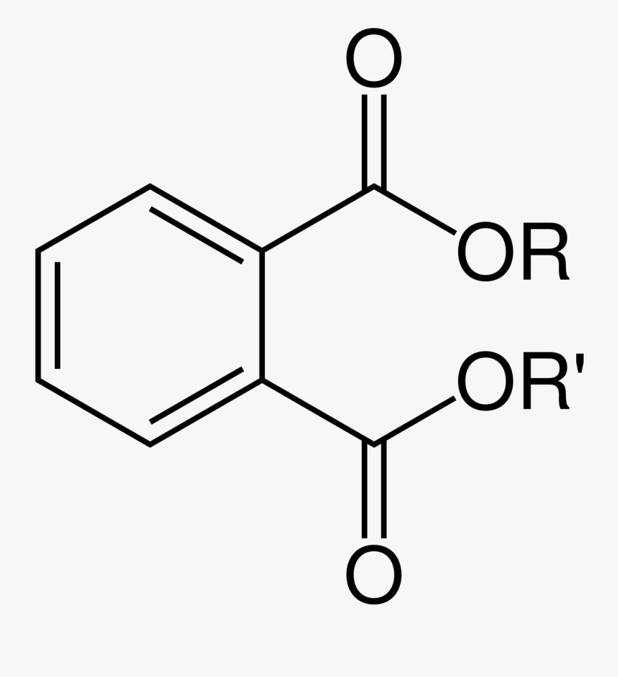 Alternatives To Five Phthalates Of Concern To Puget, Transparent Clipart