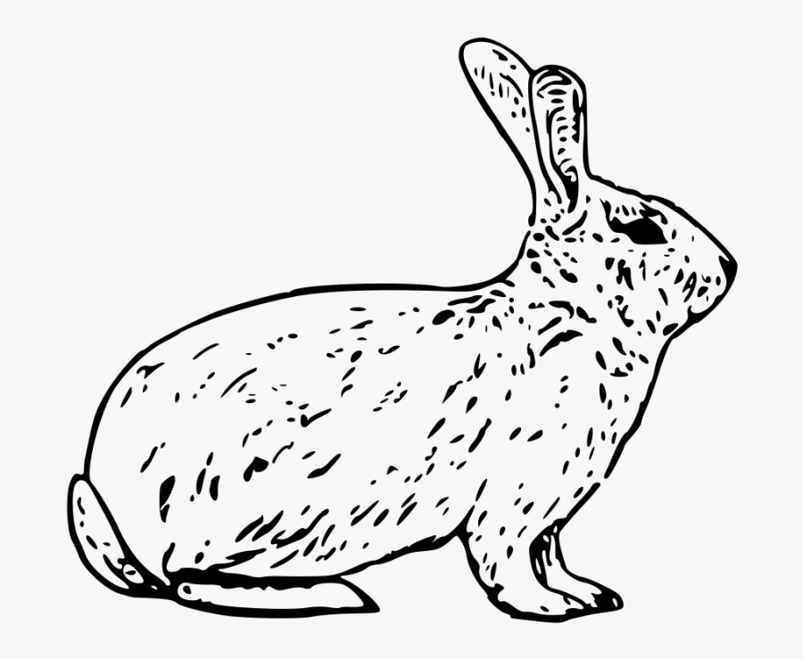Rabbit Clipart Black And White - Arctic Hare Clip Art, Transparent Clipart